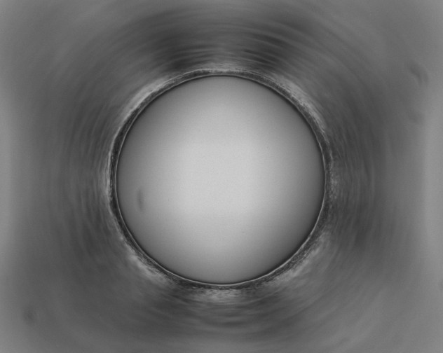 X0000113370845200910061059