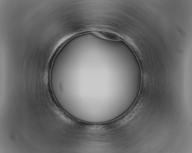 X0000113370846200910061059