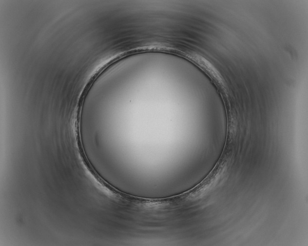 X0000113370847200910061059