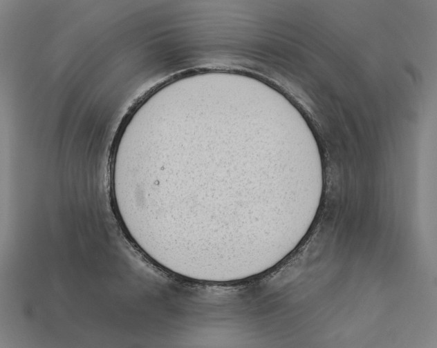 X0000113370848200910061059