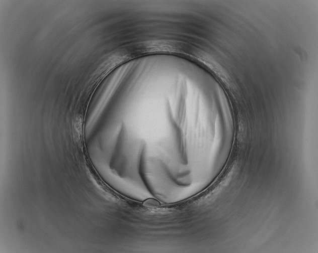 X0000113370849200910061059