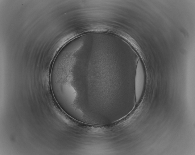 X0000113370850200910061059