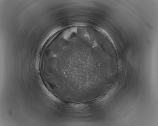 X0000113370851200910061059