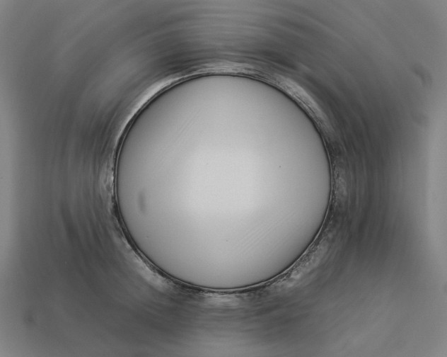 X0000113370852200910061059