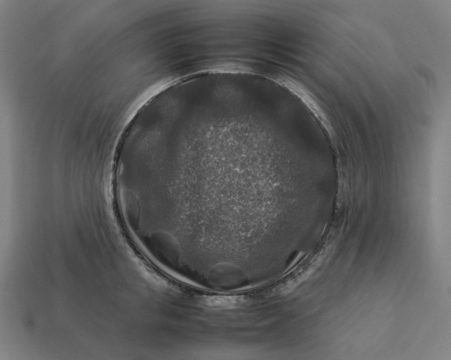 X0000113370853200910061059