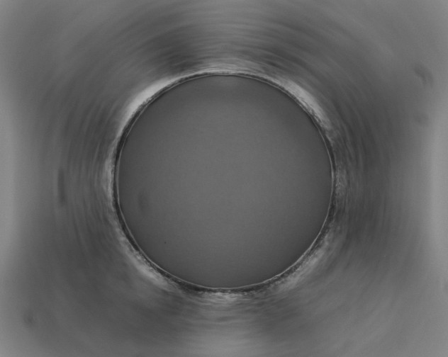 X0000113370854200910061059