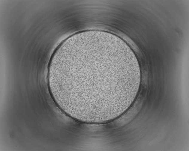 X0000113370856200910061059