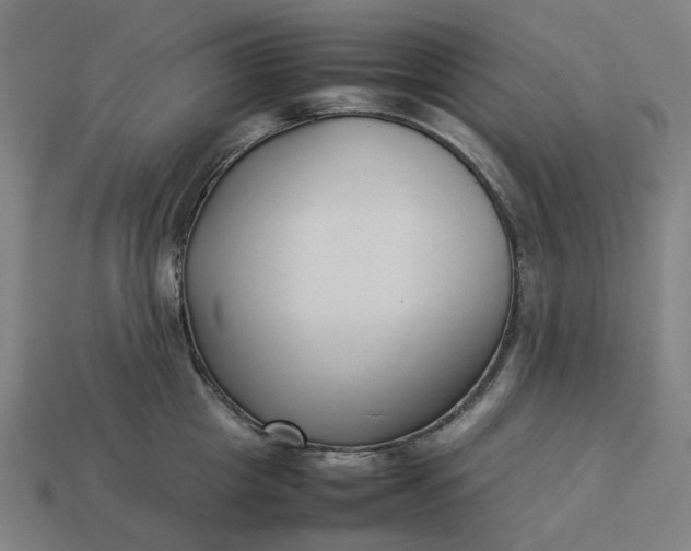 X0000113370857200910061059