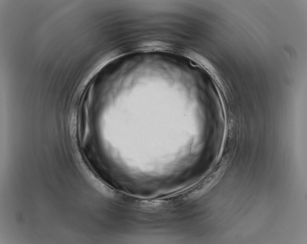 X0000113370859200910061059