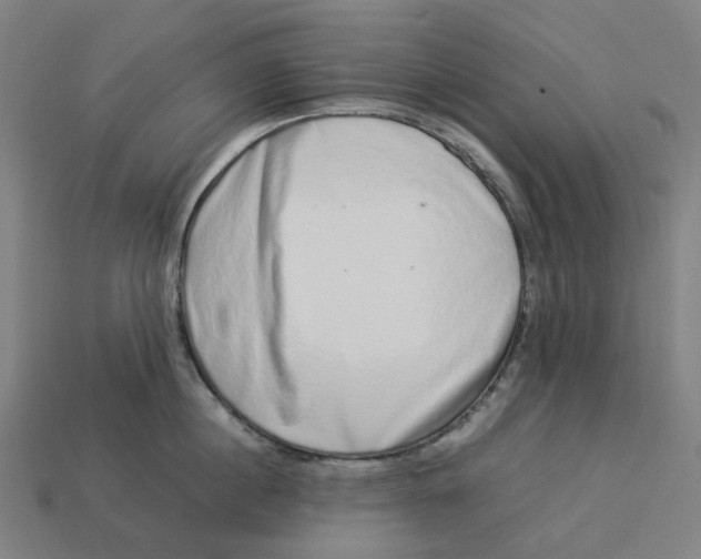 X0000113370860200910061059