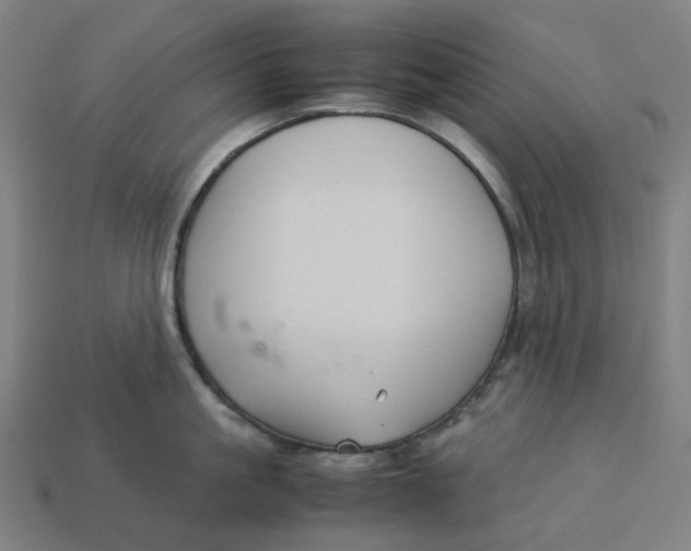 X0000113370861200910061059