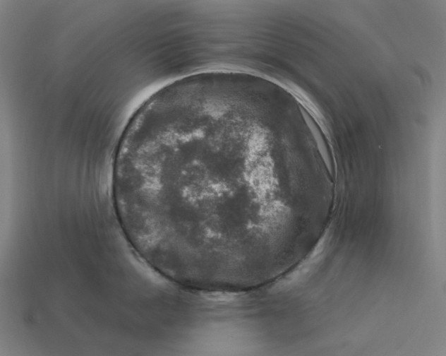 X0000113370862200910061059