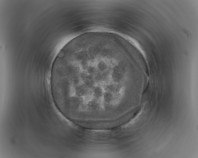 X0000113370863200910061059