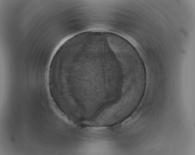 X0000113370864200910061059