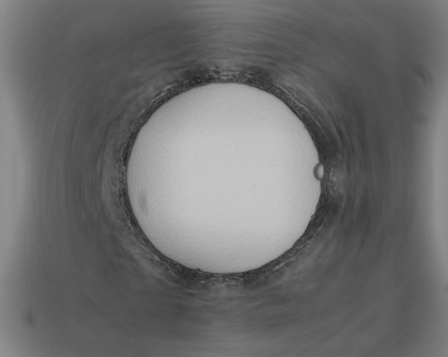 X0000113370865200910061058