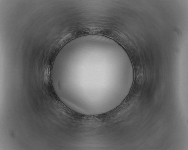 X0000113370866200910061058