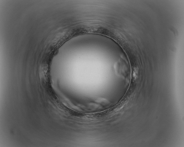 X0000113370867200910061058