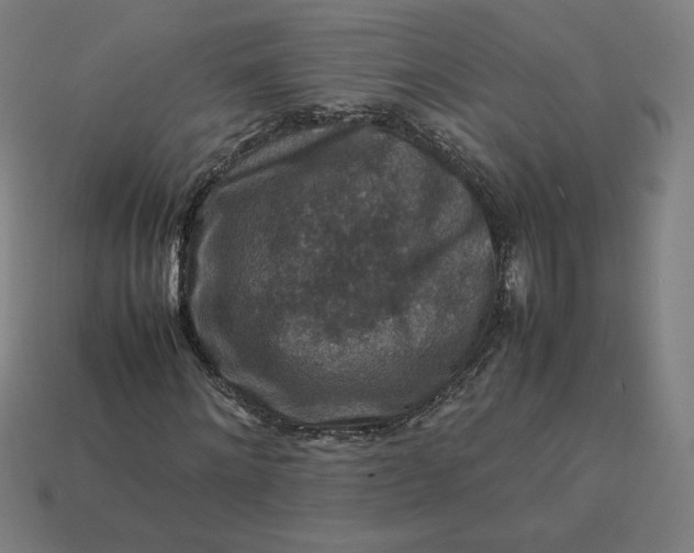 X0000113370868200910061058