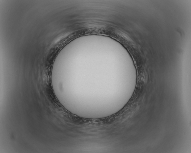 X0000113370869200910061058