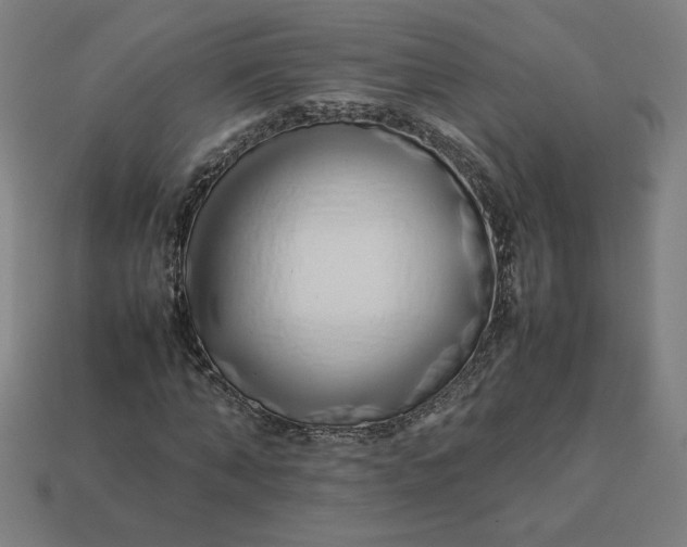 X0000113370870200910061058