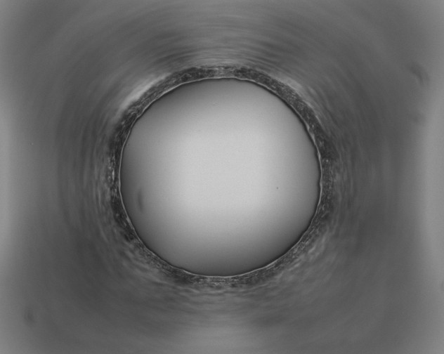 X0000113370871200910061058