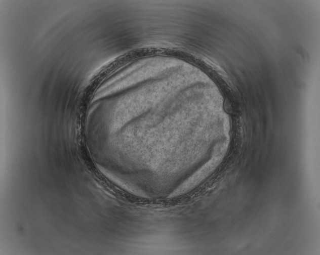 X0000113370872200910061058