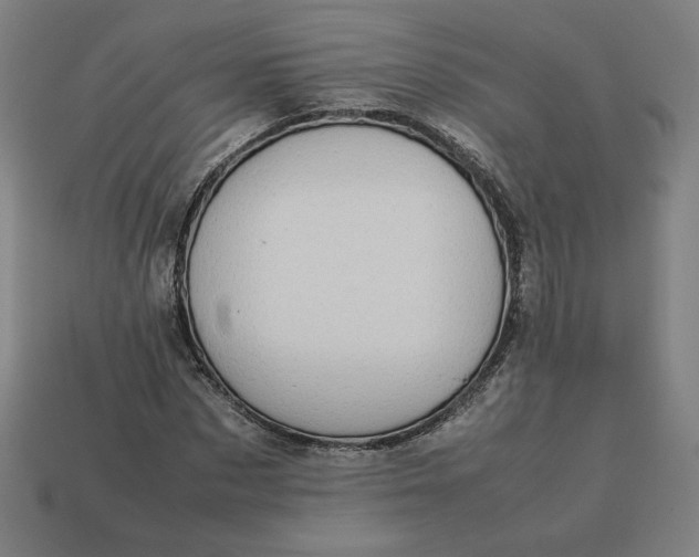 X0000113370873200910061058