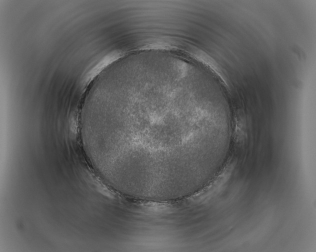 X0000113370874200910061058