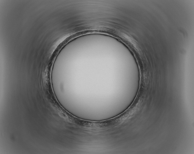 X0000113370875200910061058