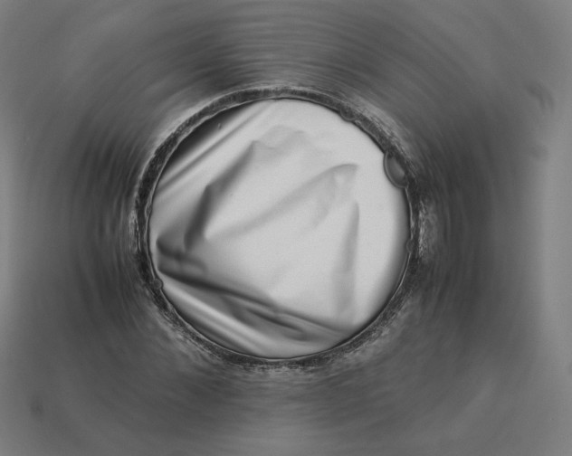 X0000113370876200910061058