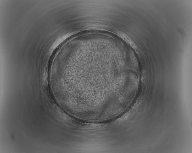 X0000113370877200910061058