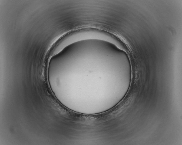 X0000113370878200910061058