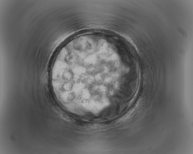 X0000113370879200910061058