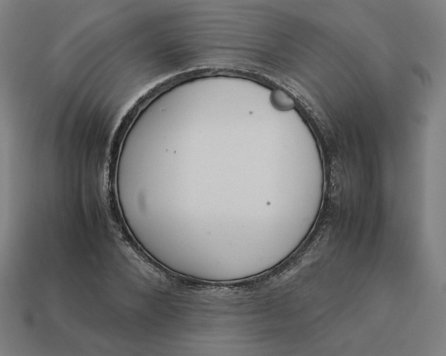 X0000113370880200910061058