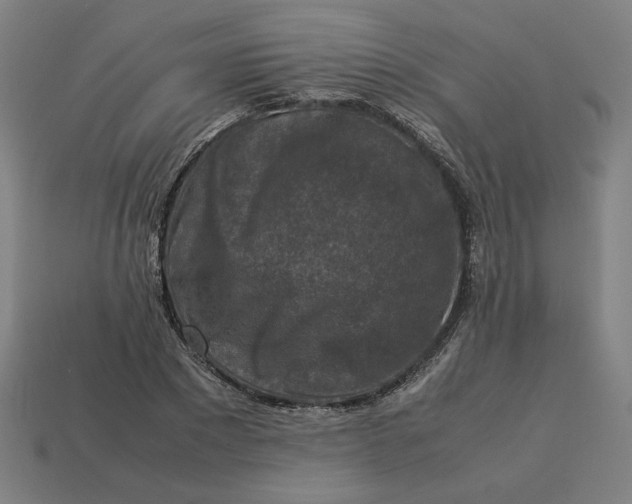 X0000113370881200910061058