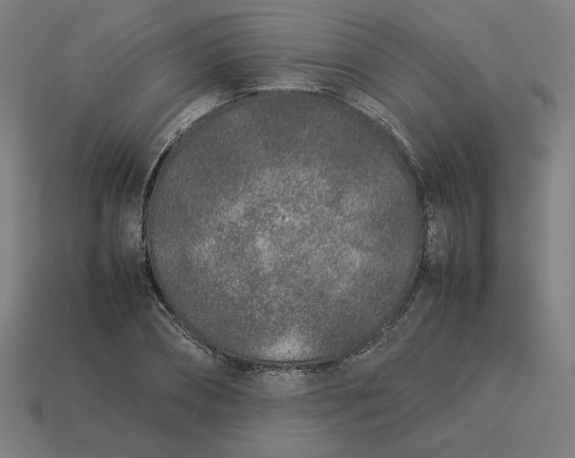 X0000113370882200910061058