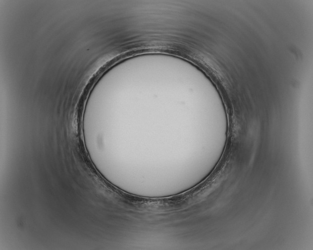 X0000113370883200910061058