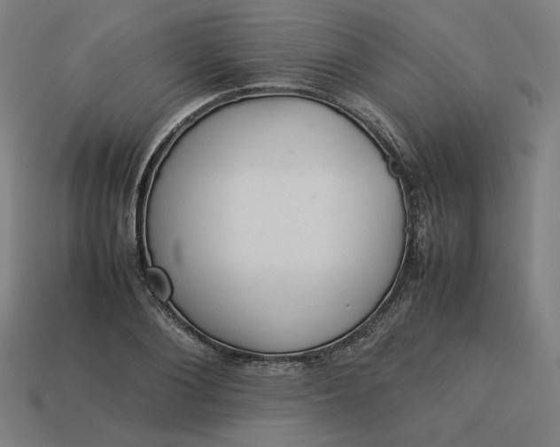 X0000113370884200910061058