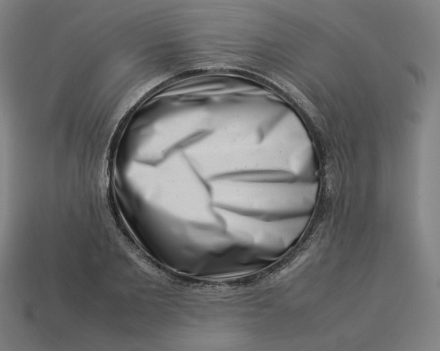 X0000113370885200910061058