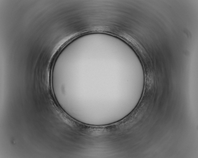 X0000113370886200910061058