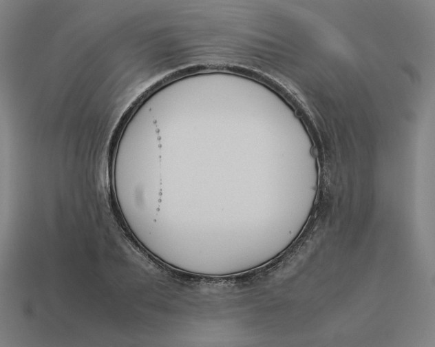 X0000113370887200910061058