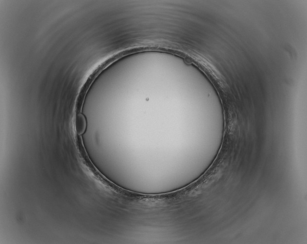 X0000113370888200910061058