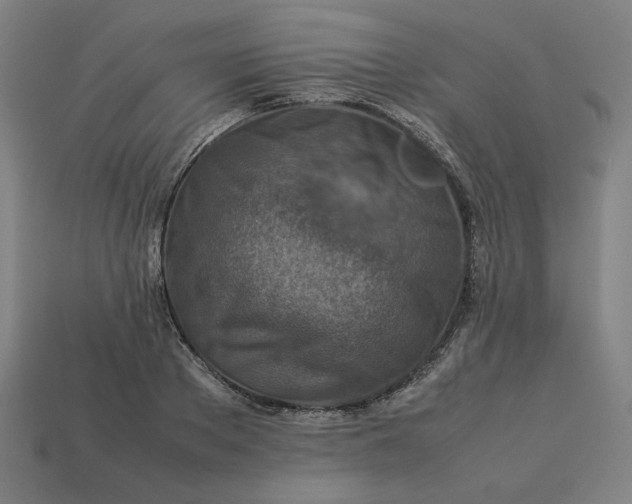 X0000113370889200910061058