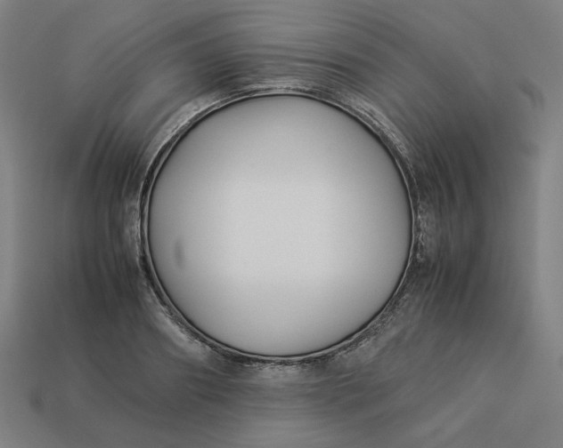 X0000113370890200910061058