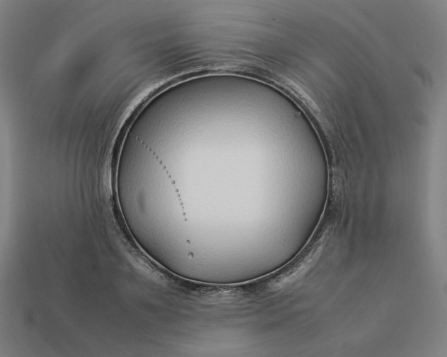 X0000113370891200910061058