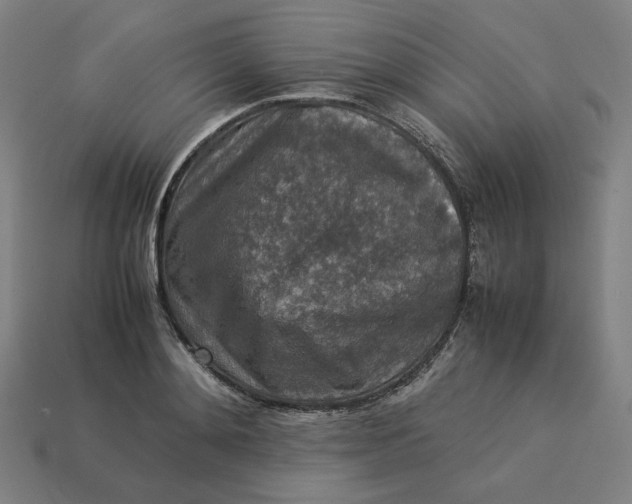 X0000113370892200910061058