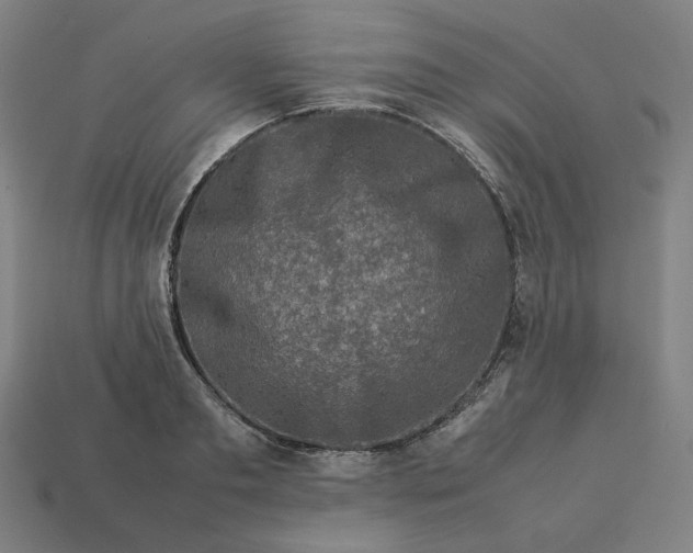 X0000113370893200910061058