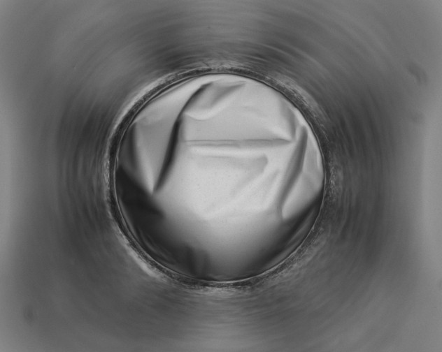 X0000113370894200910061058