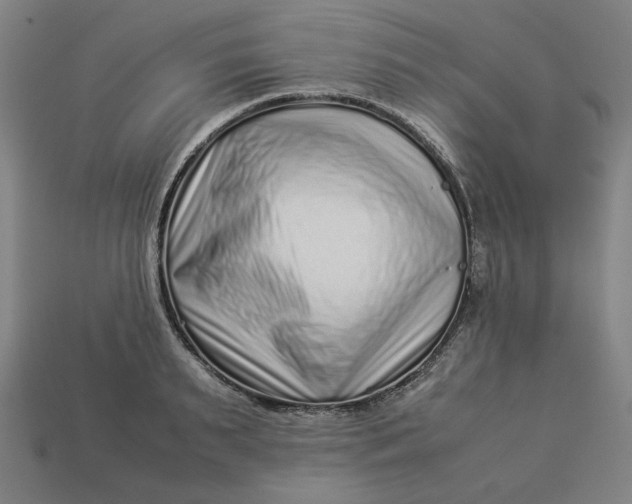 X0000113370895200910061058