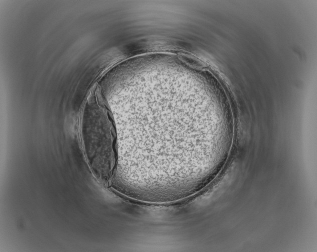 X0000113370897200910061058